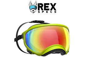 Захисні окуляри Rex Specs (під замовлення)
