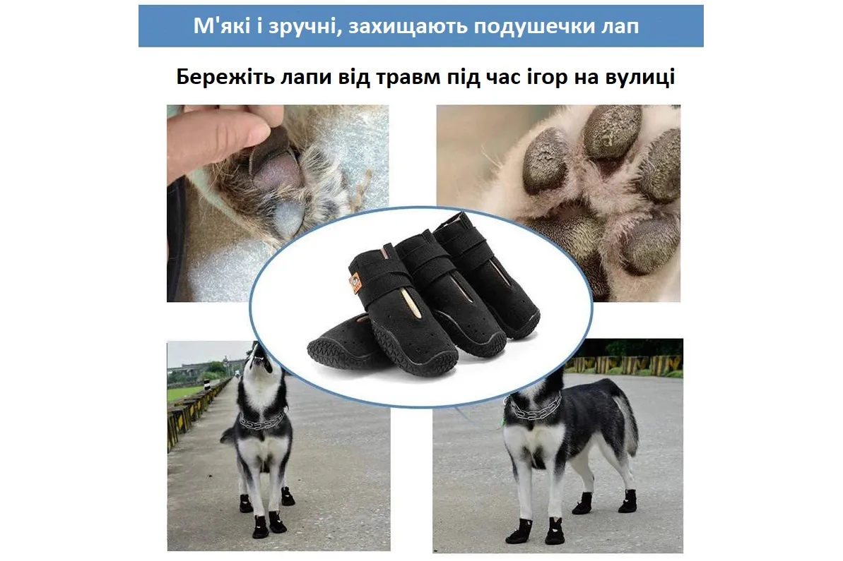 Шкіряне взуття для собак HCPET-4