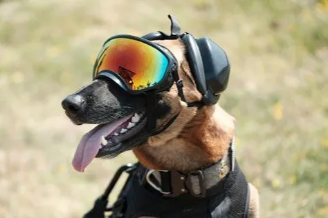 Професійні навушники для захисту слуху собаки (під замовлення)-3
